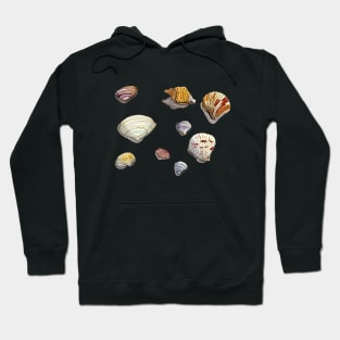 Whimsical Sea Shells in Watercolor and Ink Hoodie